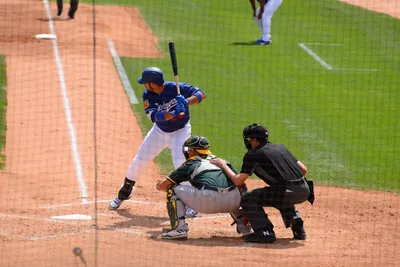 DSC_1526 (Large).JPG